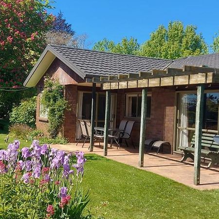 Dewdrop Cottage Hastings Dış mekan fotoğraf